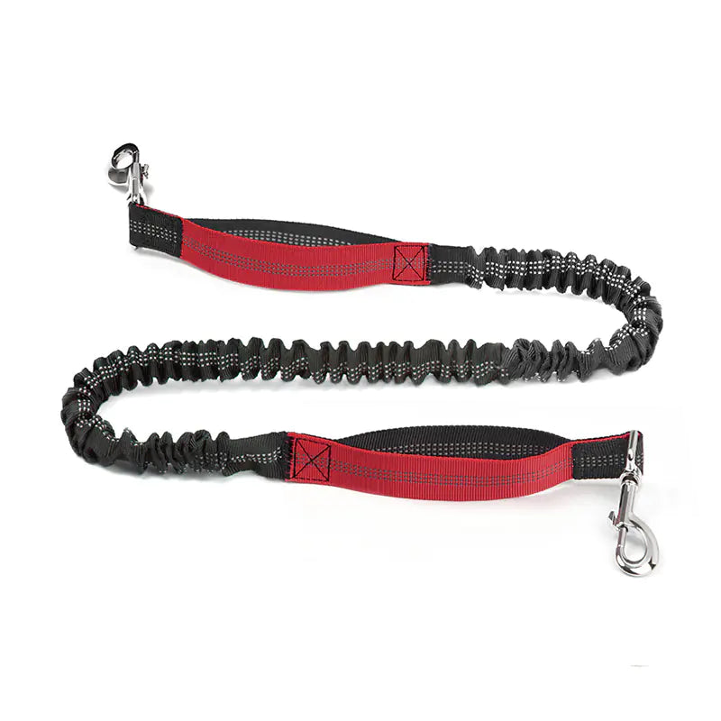 All-Terrain Pet Jogger Leash Bag