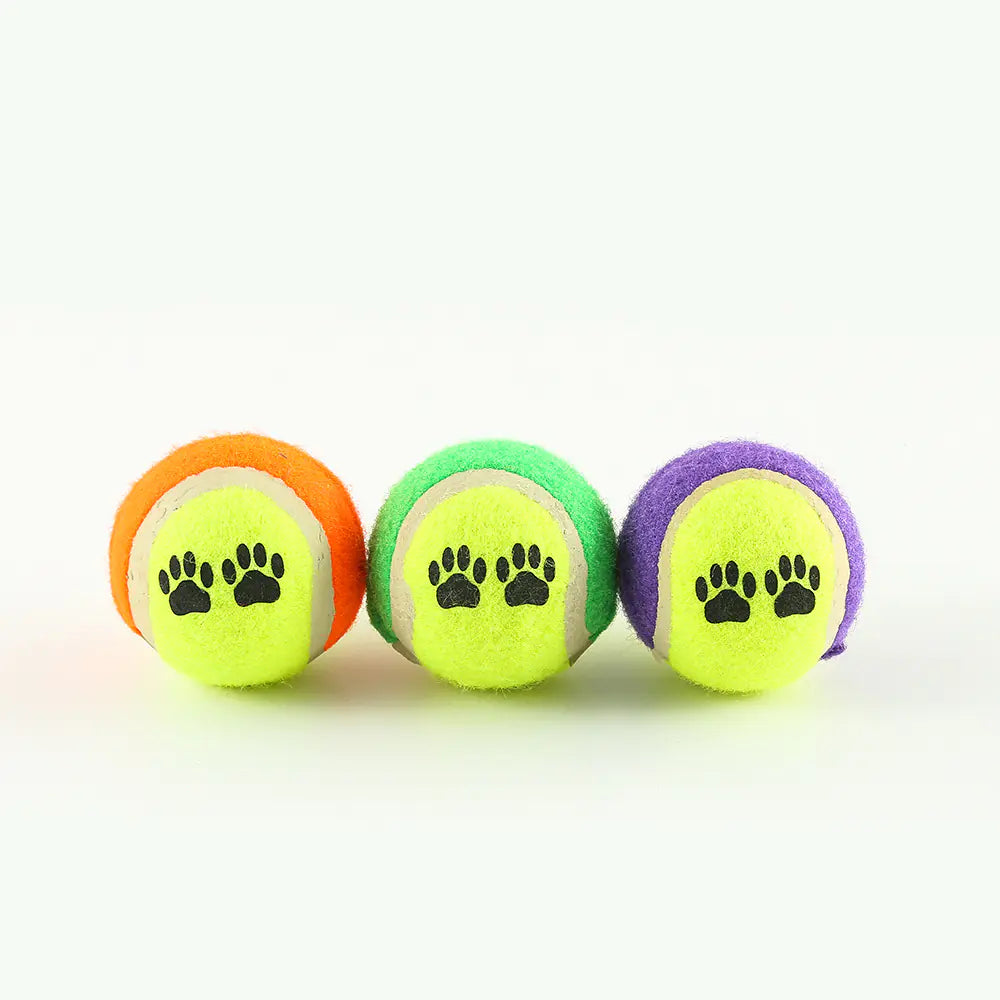 FetchMaster Pro Ball Thrower