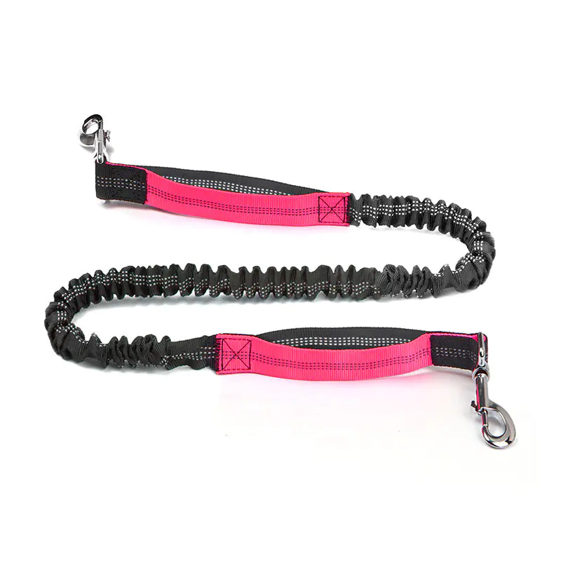 All-Terrain Pet Jogger Leash Bag