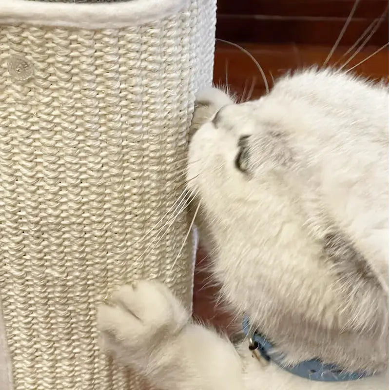 Cat Claw Guard Mat - Tough & Scratch-Proof