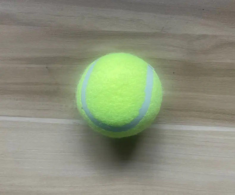 FetchMaster Pro Ball Thrower