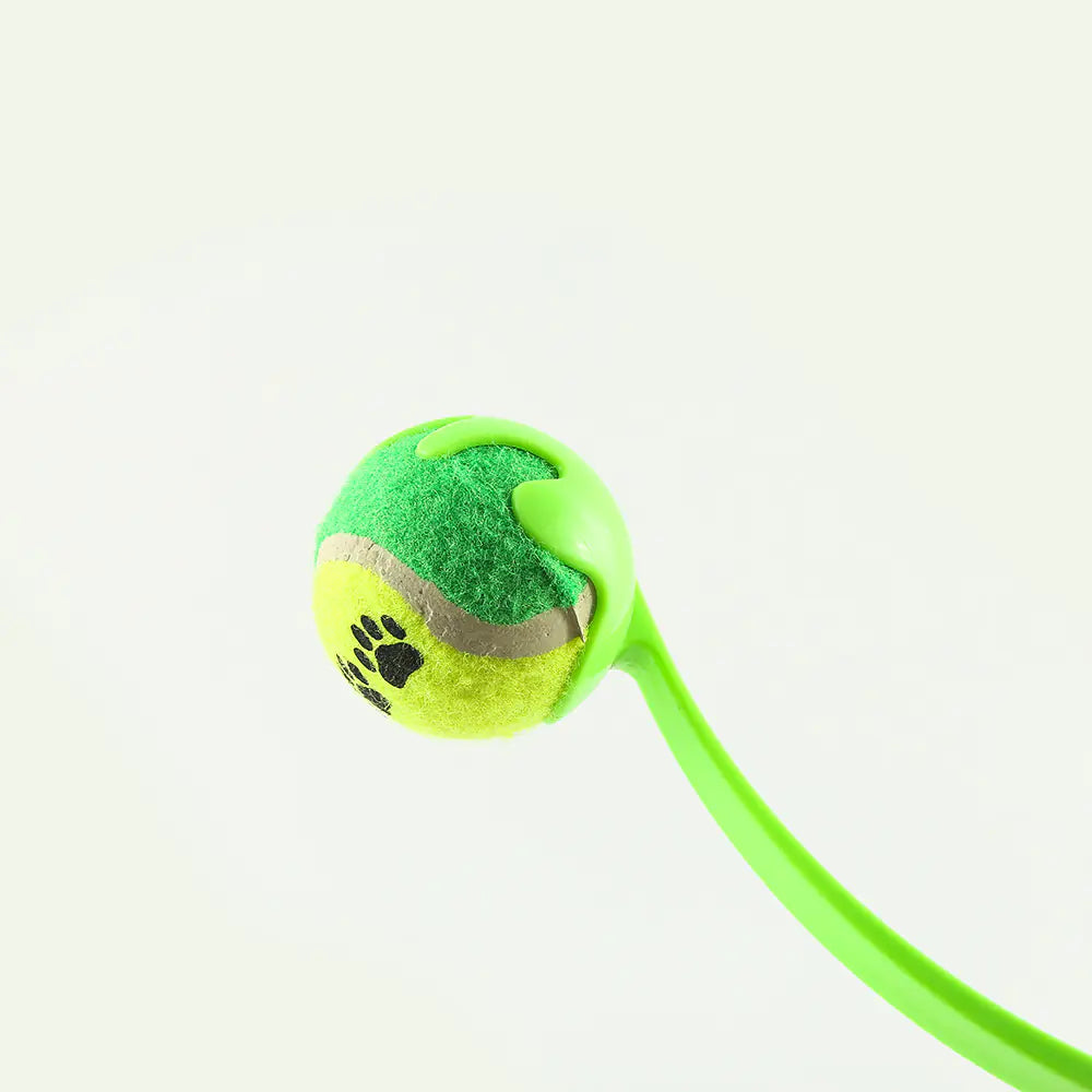 FetchMaster Pro Ball Thrower