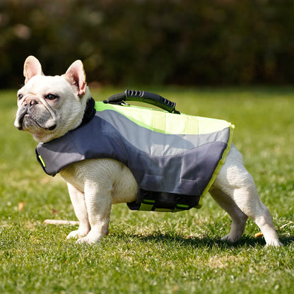 Reflective Swim Gear for Dogs