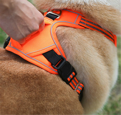 Sturdy Handle Pet Harness