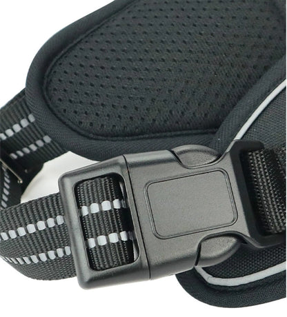 Sturdy Handle Pet Harness