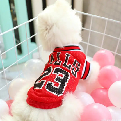 Cool Comfort Teddy Dog Vest