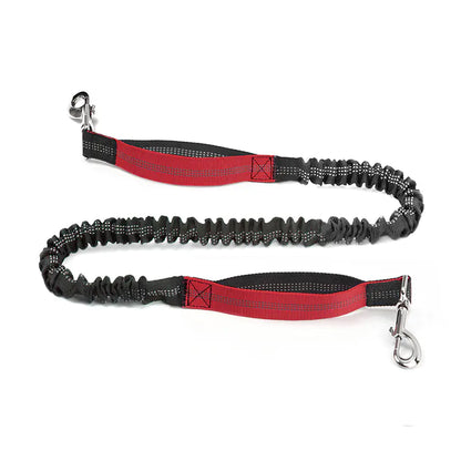 All-Terrain Pet Jogger Leash Bag