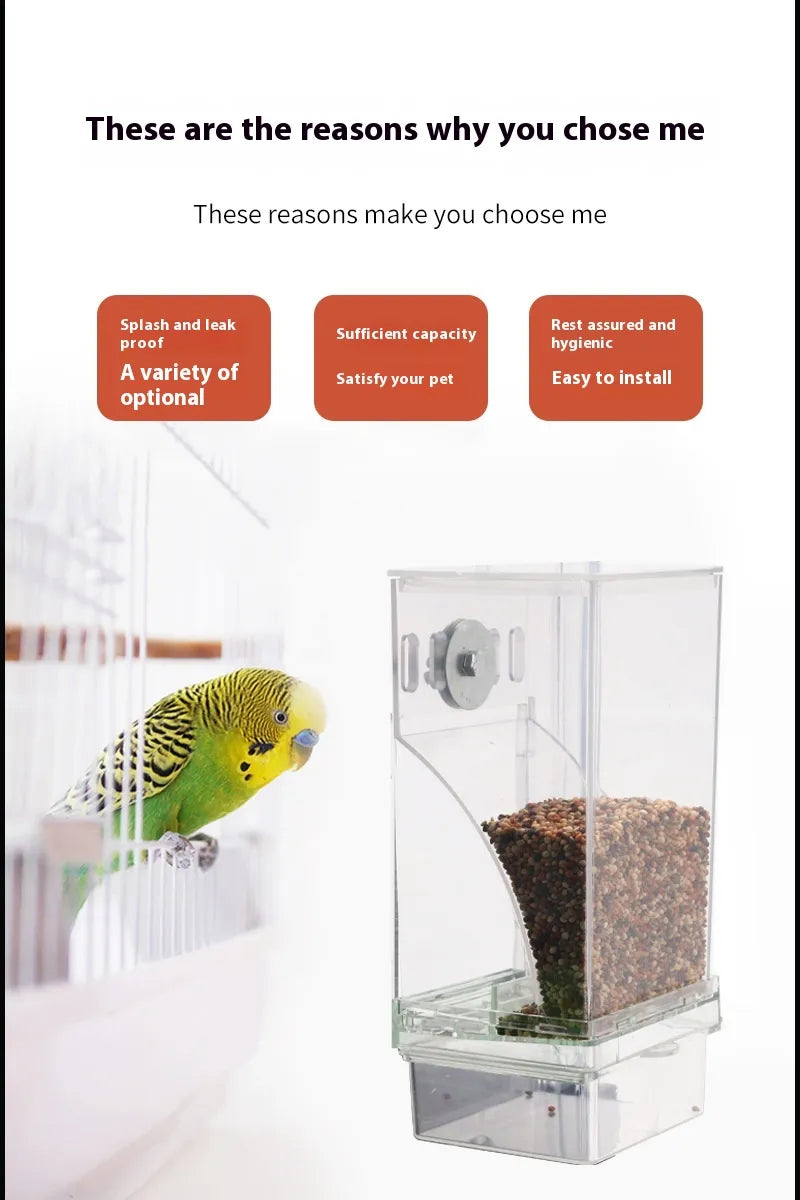 AutoServe Bird Feeder