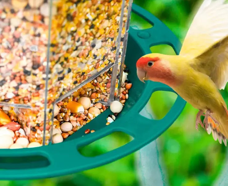 SmartServe Bird Feeder