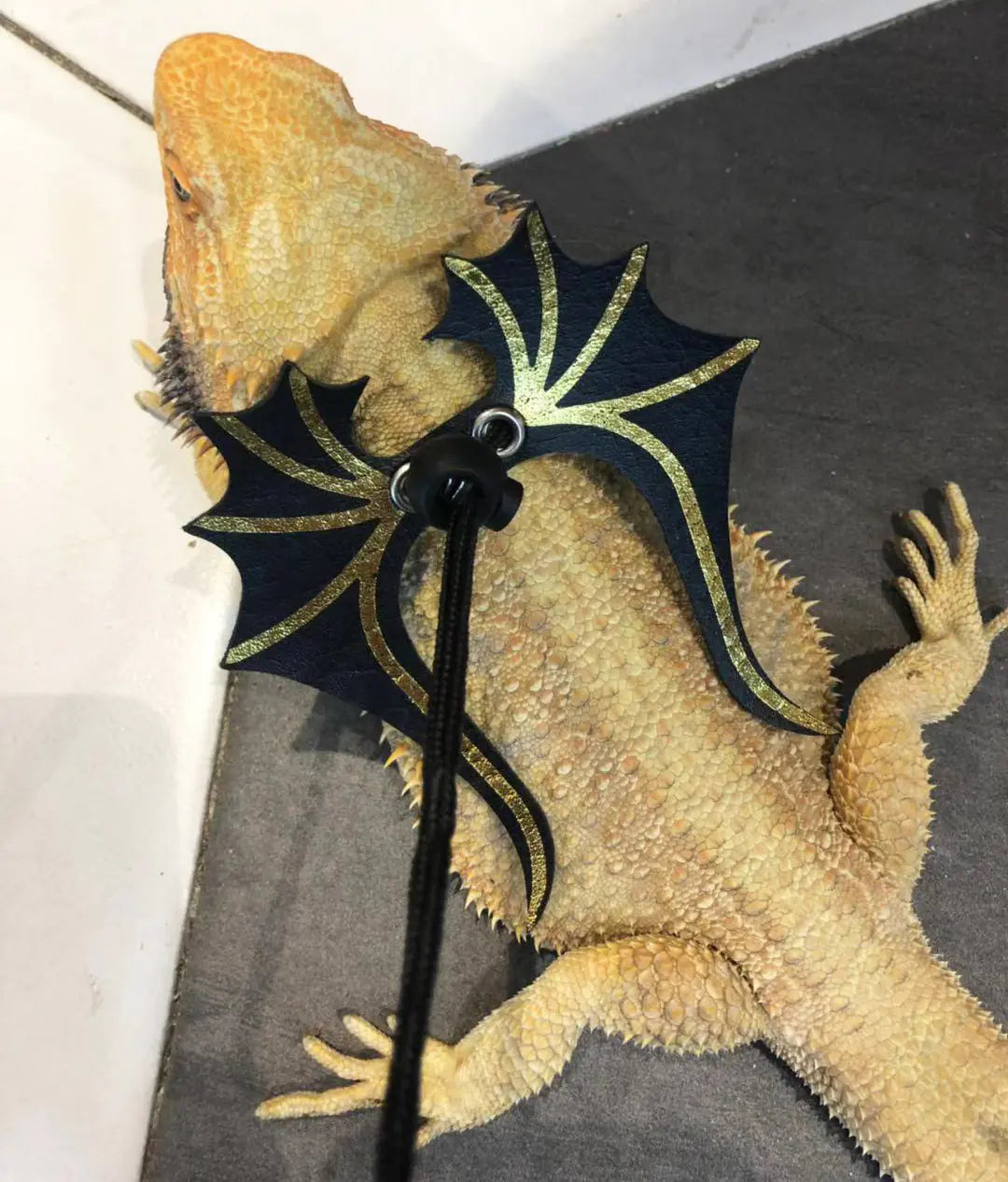 Reptile Rambler Leather Harness