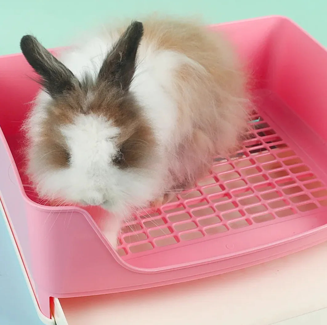 Bunny Barrier Litter Box