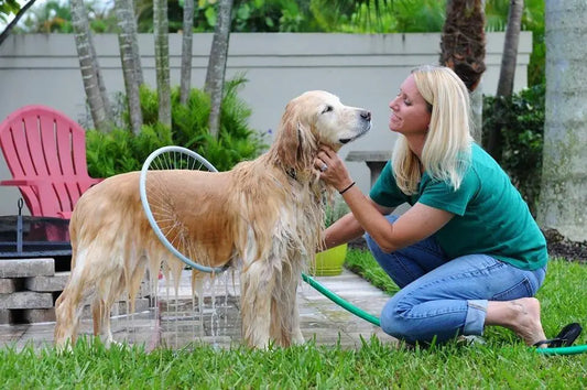 Puppy Rinse Ring with Circular Sprayer