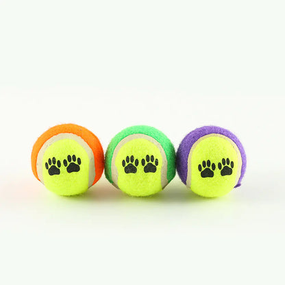 FetchMaster Pro Ball Thrower