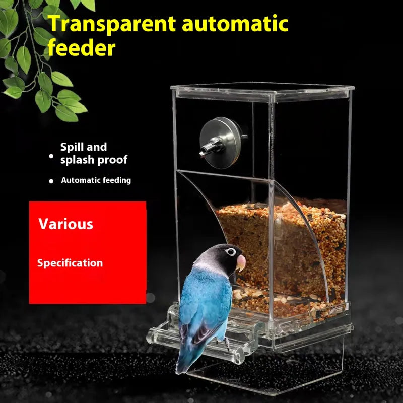 AutoServe Bird Feeder