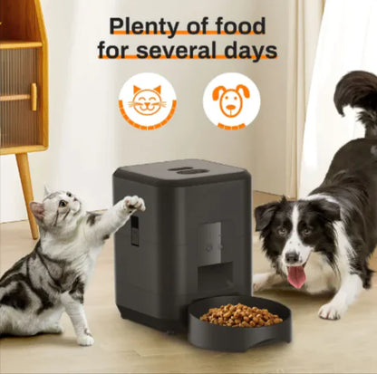 Whisker Feeder Deluxe