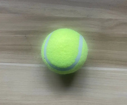 FetchMaster Pro Ball Thrower